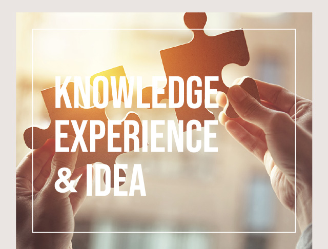 KNOWLEDGE EXPERIENCE & IDEA